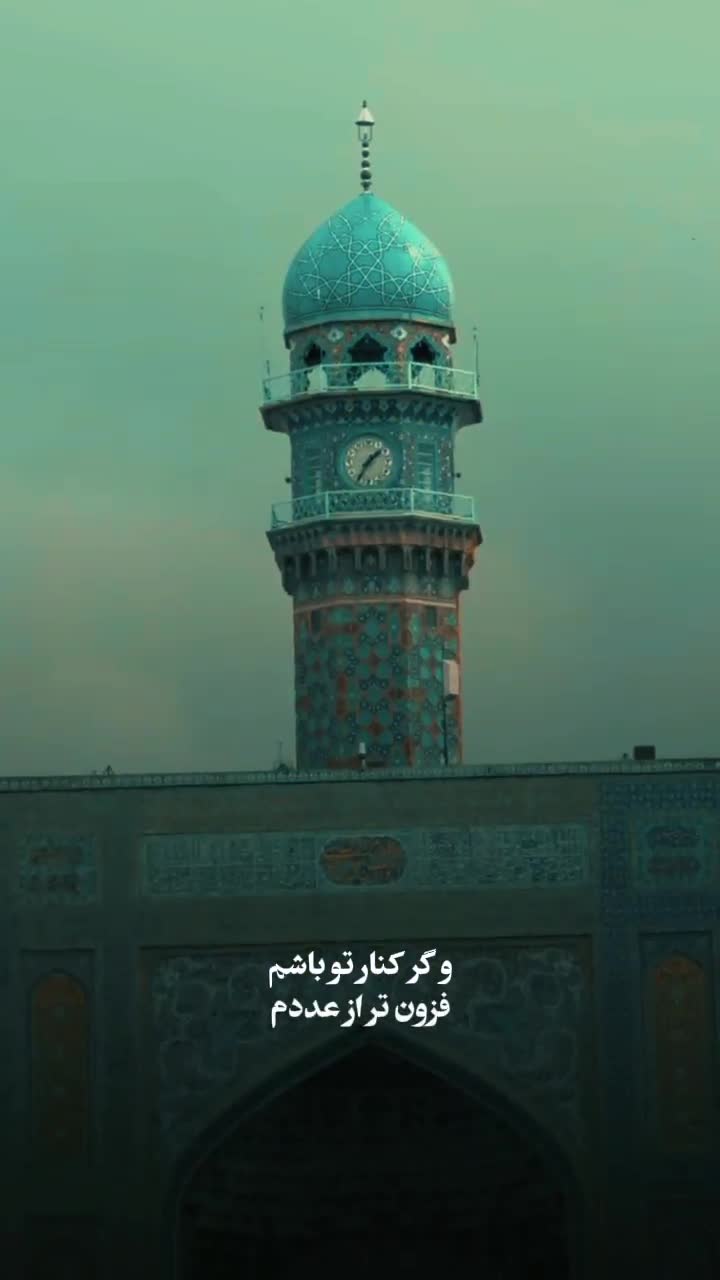 به اندازه دیدن همین یک دقیقه میشه زائر امام رضا(ع) باشی!