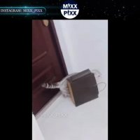 گربه بامزه در حال خراب‌کاری