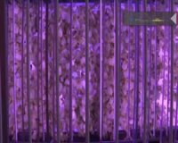 درون تونلي که پيشتر بزرگراهي از آن عبور مي کرد