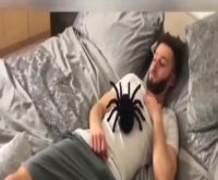 بدترین شوخی با دوستات با عنکبوت