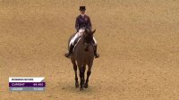 FEI Dressage World Cup 2019