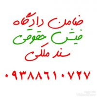 ضامن دادگاه فیش حقوقی 09388610727