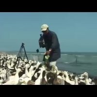 نقد مستند 76 دقیقه و 15 ثانیه با عباس کیارستمی