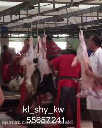 حوادث هولناک و ترسناک غیر قابل باور کردنی!!..