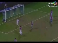 چند گل زیبا