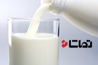 کپک زدن شیر در66 روز