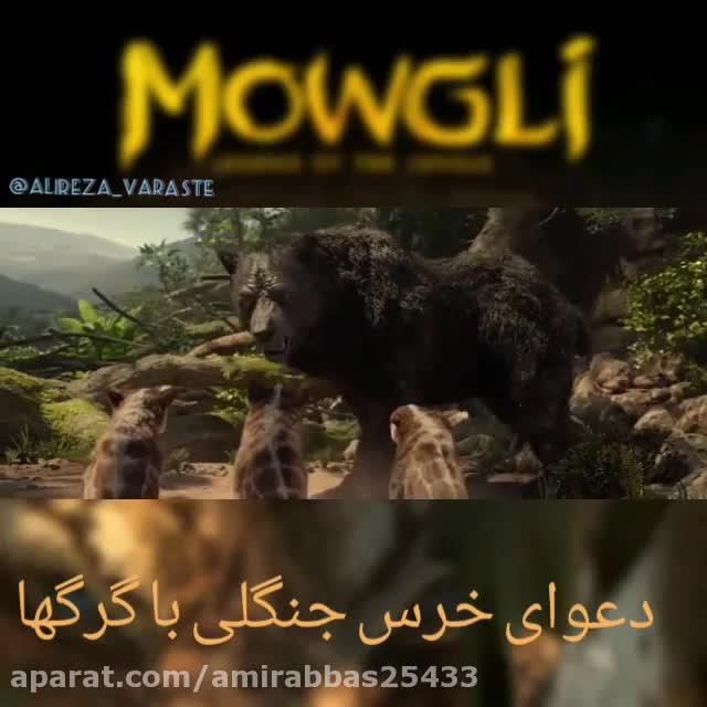 film irani - تماشا