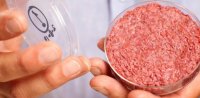 گوشت آزمایشگاهی چیست؟
