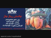 ارقام نهال خرمالو 09141811520