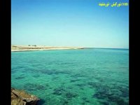 جزیره هنگام قشم