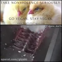 صنعت جوجه کشی