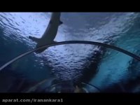 دنیای آبی سن دیه گو کالیفرنیا