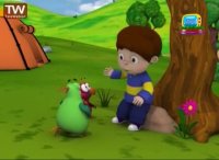 ماجراهای کوشا - توکای باغی