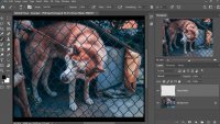 فنس را با 3 قدم ساده در فتوشاپ حذف کنید!