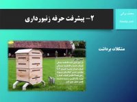 تحولات مهم تاریخ زنبورداری