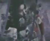 شاعر آرامشهای درون: سهراب سپهری