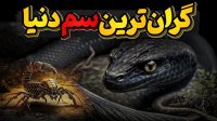 موجوداتی با سمی بسیار گرانبهاتر از طلا!