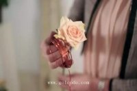 گلدان گل- golcode.com