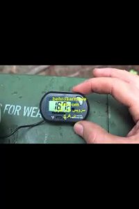 خلاقیت در جنگل-بهروسرماصنعت