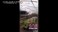 تولیدی گل و گیاه میرزایی در ساری