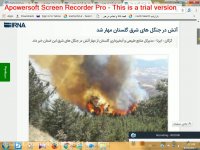 آتش در جنگل های شرق گلستان مهار شد