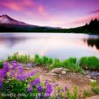 موسیقی سنتی - بیات شیراز آواز اصفهان- خواننده علی سیار