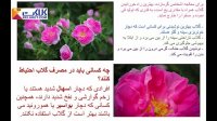 با خواص بی نظیر گلاب آشنا شوید