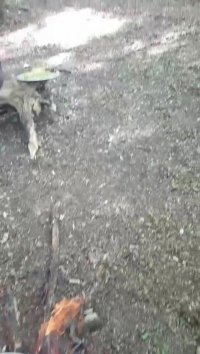 تور طبیعت گردی ریسمون و غذاهای آتیشی در طبیعت