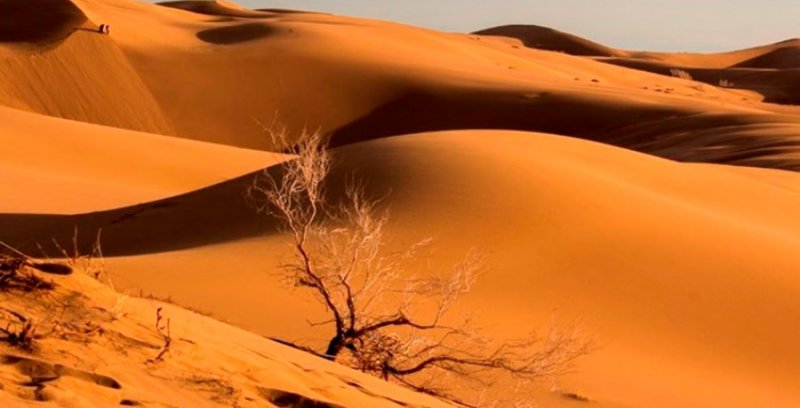 نگاهی به کویر زیبای ایران