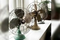 اجاره پنکه - ایستاده / رومیزی