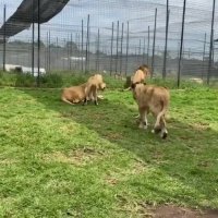 یک خانواده خوشبخت