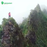 هاوایی - کافه گردش