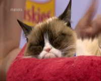 مستند حیوانات مشهور دوبله فارسی