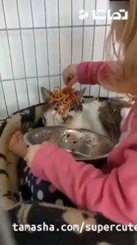 کلیپ خنده دار دختر و گربه