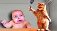 فیلم خنده دار درگیری بچه کوچولوها با حیوانات خانگی #86