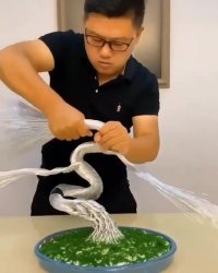 خلاقیت دیدنی