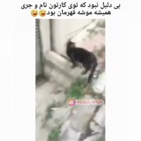 کلیپ خنده دار تام وجری