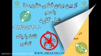 سم کشنده عقرب شل گارد کاملا تاثیرگذار