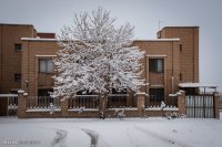 خوشحالی و شکرگزاری مردم در پی بارش های اخیر