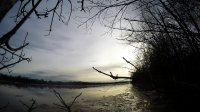 Springtime - Timelapse