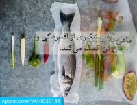 فواید خوردن ماهی برای بدن انسان
