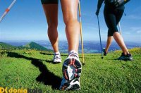 اصولی ترین راههای انتخاب کفش پیاده روی سراسری