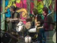 همایون شجریان : وطن