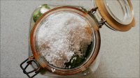 Pickled Cucumber ( Khiar Shoor ) -  خیارشور
