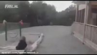 حوادث خفن و فوق العاده خنده دار از گوشه کنار جهان!