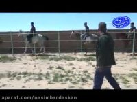 باشگاه سواركاری آریا بردسكن