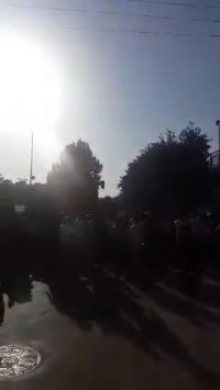 آتش سوزی جنگل 4 قربانی بر جای گذاشت