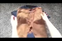 بهترین نوع جمع کردن لباس در وقت مسافرت