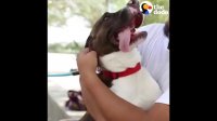 Girl Reunites With Dogs After Hurricane Harvey | The Dodo