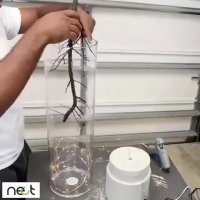 هنر و خلاقیت | nect.ir